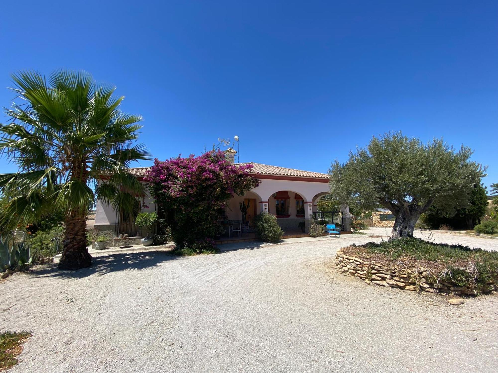 Villa Entre Mer Et Montagne Arcos de la Frontera Zewnętrze zdjęcie